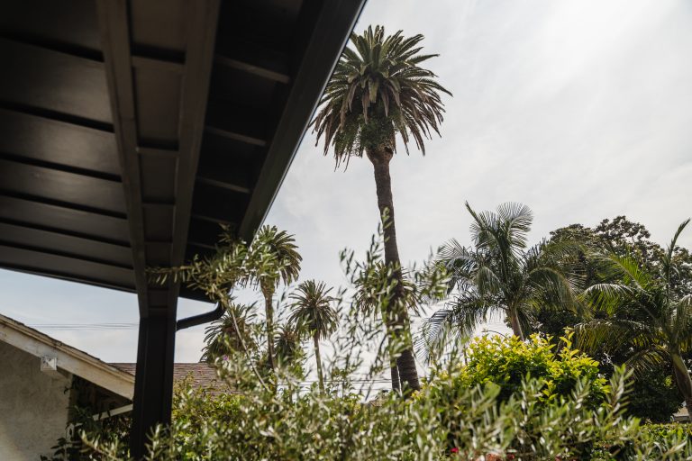 2848_Palm_Grove_HiRes-136